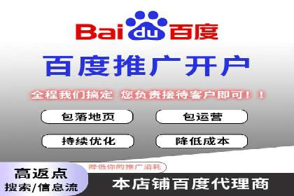 SEM专员的角色与成功案例解析